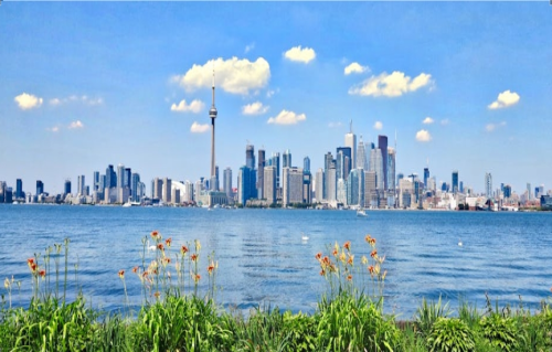 数字政府如何赋能美好生活